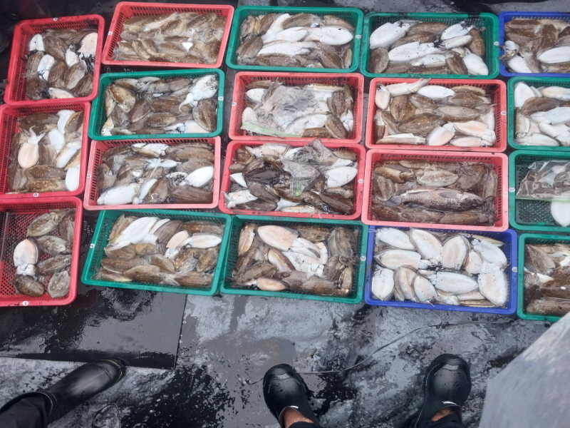 나르샤호 조황갤러리입니다.