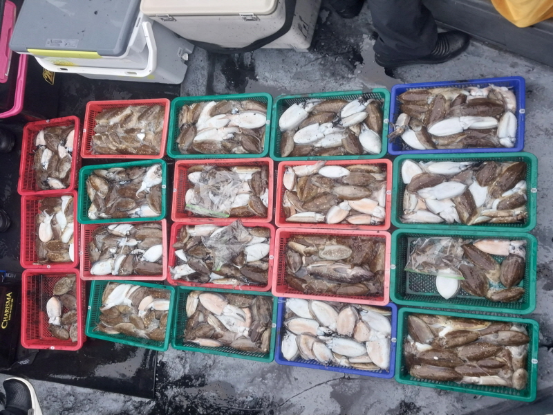 나르샤호 조황갤러리입니다.