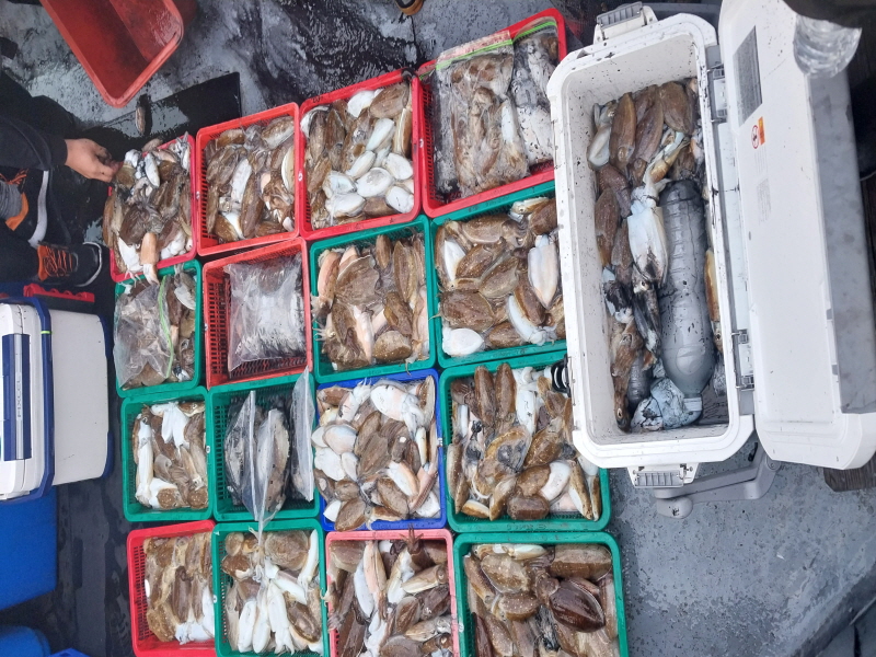 나르샤호 조황갤러리입니다.