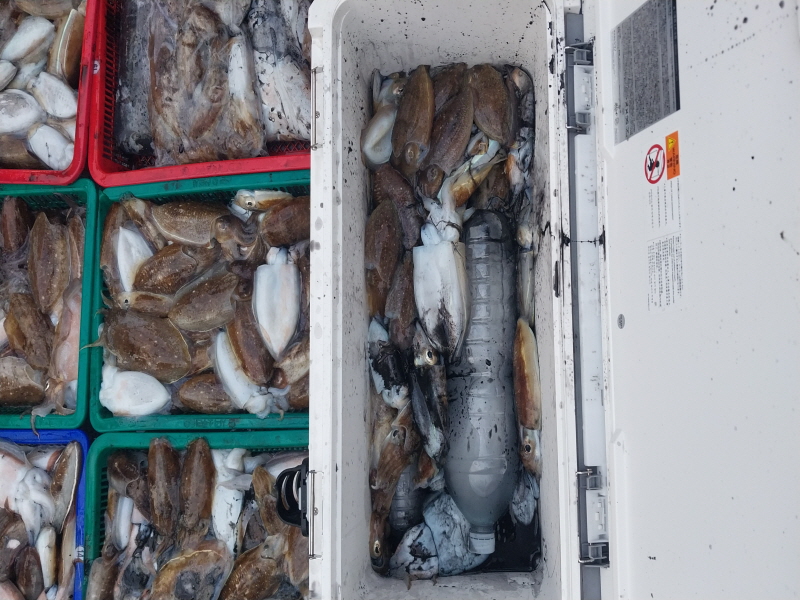 나르샤호 조황갤러리입니다.