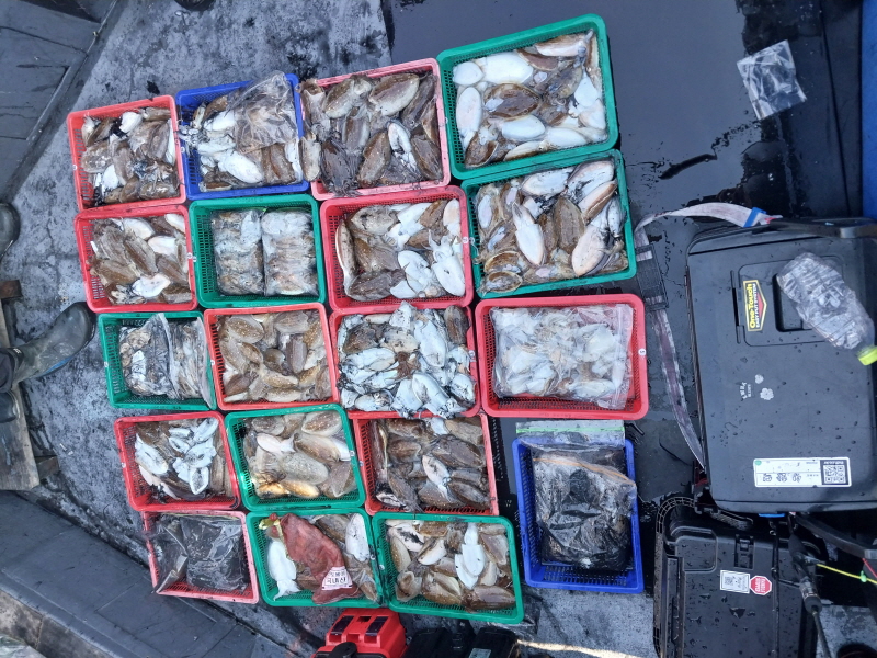 나르샤호 조황갤러리입니다.