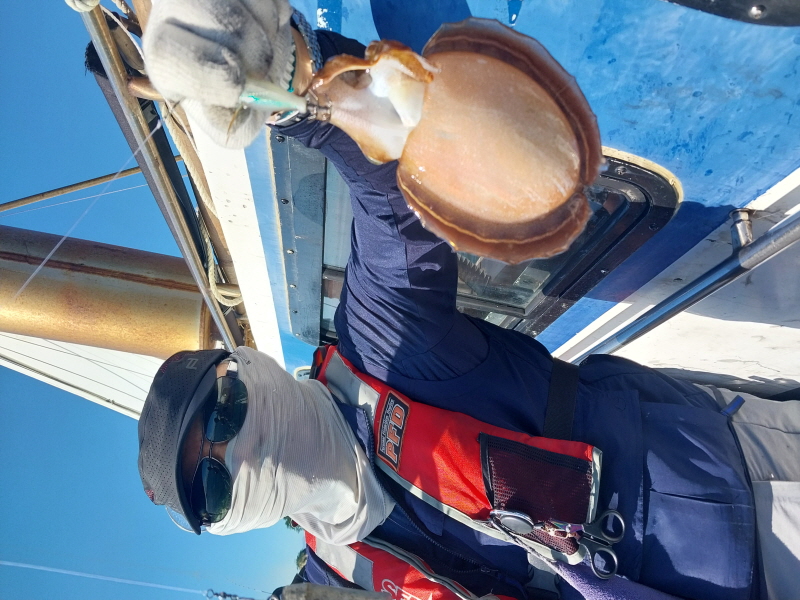 나르샤호 조황갤러리입니다.