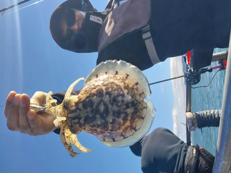 나르샤호 조황갤러리입니다.