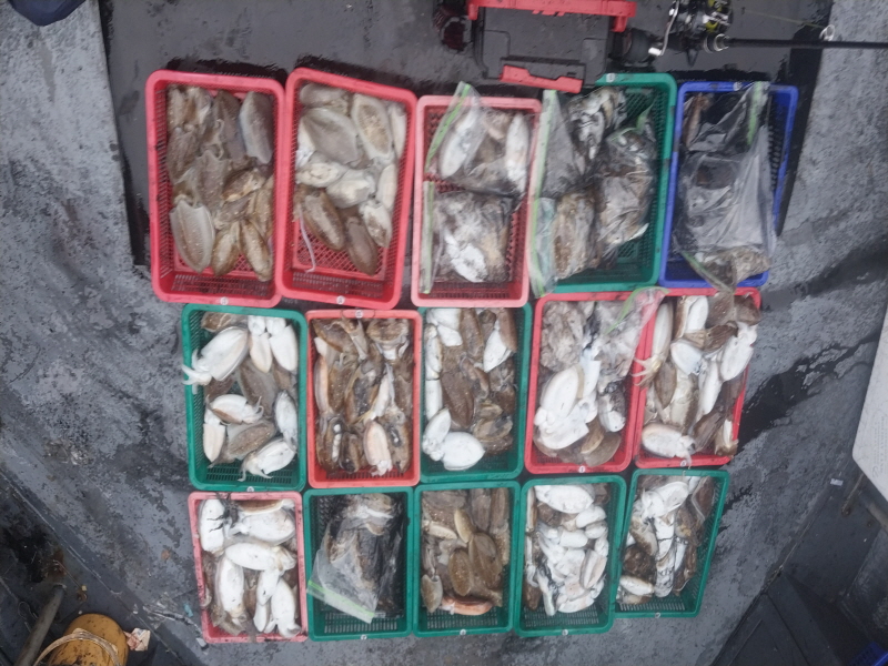 나르샤호 조황갤러리입니다.