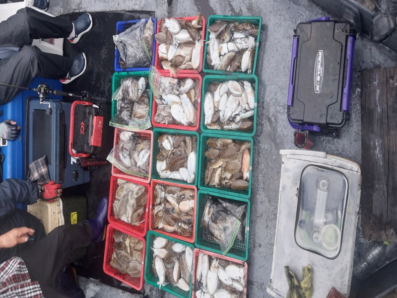 나르샤호 조황갤러리입니다.