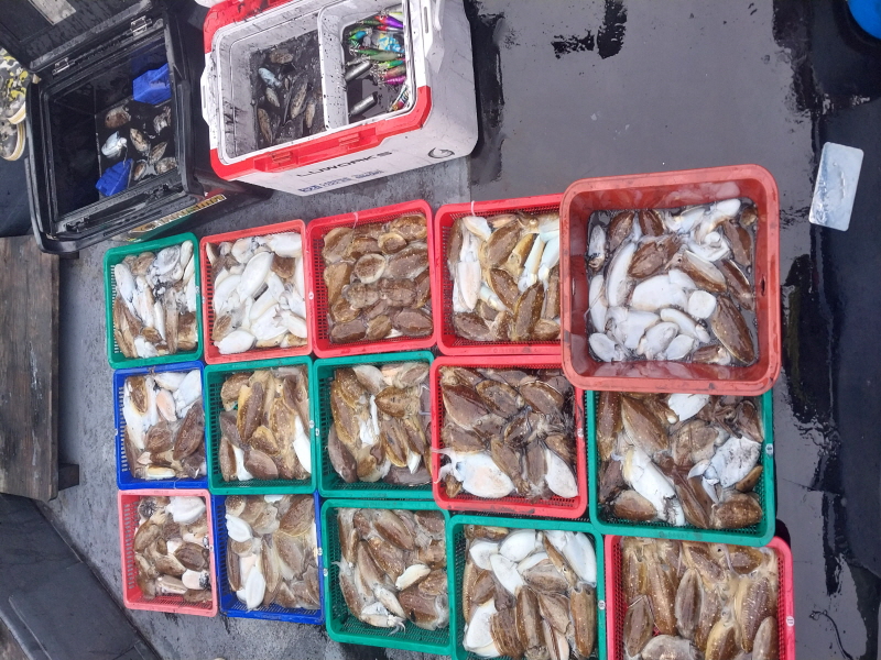 나르샤호 조황갤러리입니다.