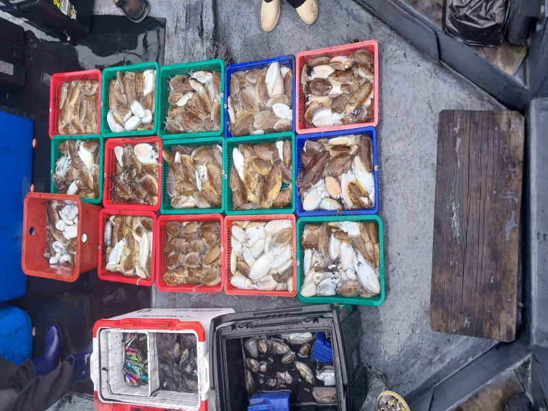 나르샤호 조황갤러리입니다.