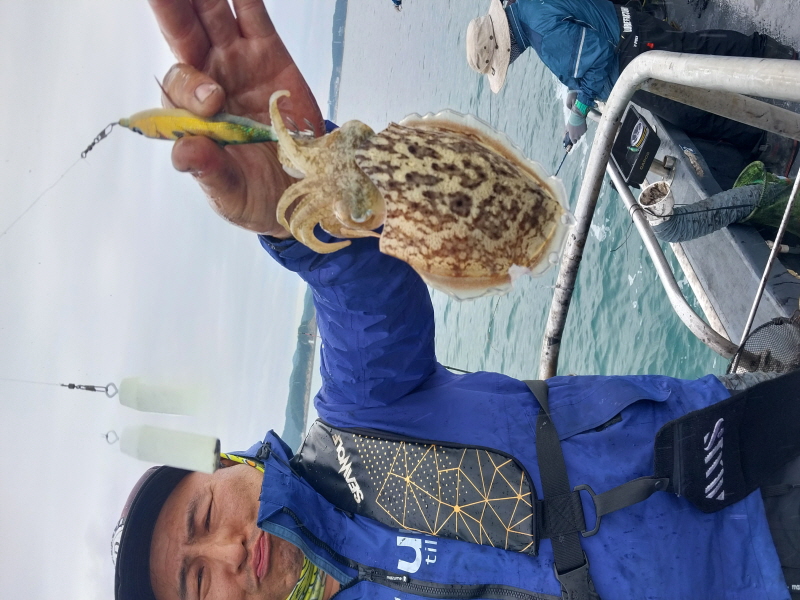 나르샤호 조황갤러리입니다.