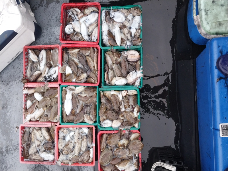 나르샤호 조황갤러리입니다.