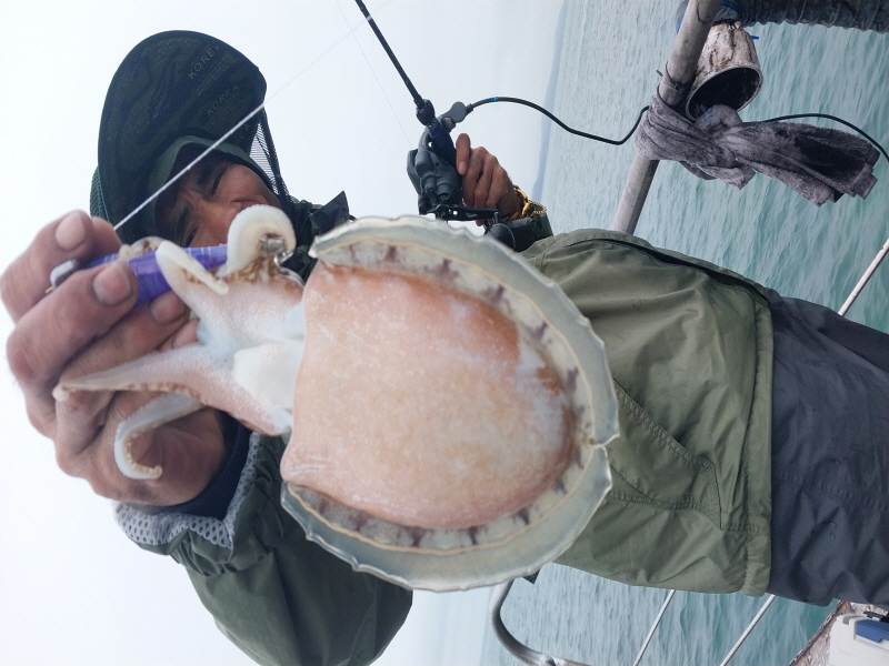 나르샤호 조황갤러리입니다.