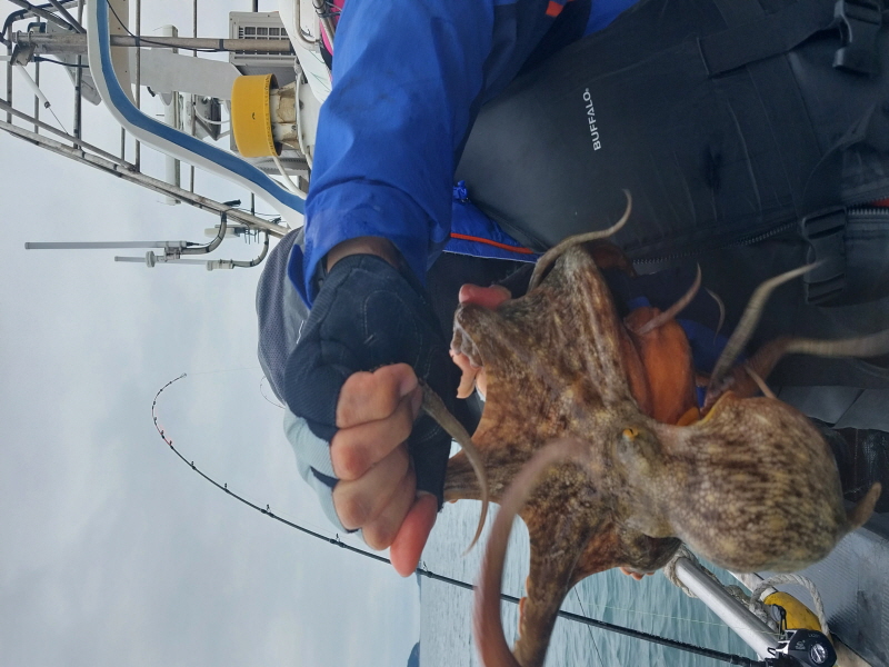 나르샤호 조황갤러리입니다.