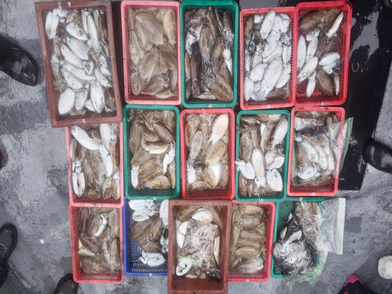 나르샤호 조황갤러리입니다.