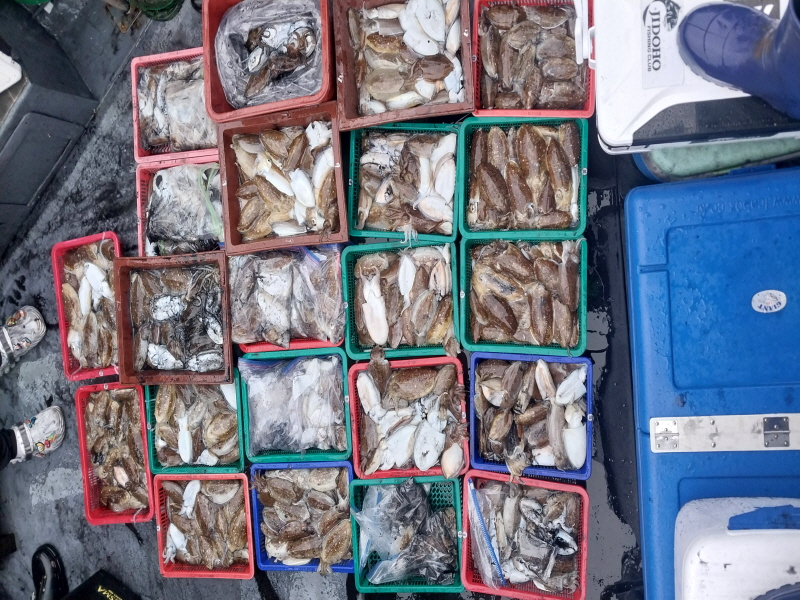 나르샤호 조황갤러리입니다.