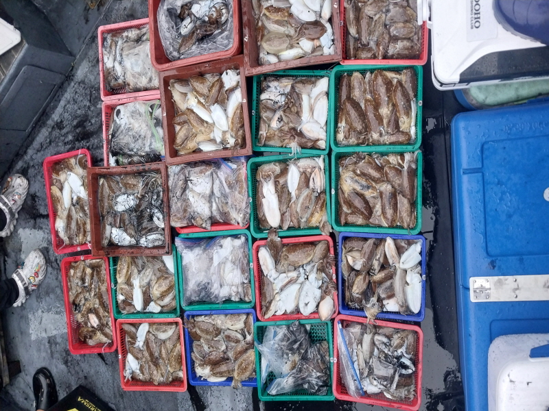 나르샤호 조황갤러리입니다.