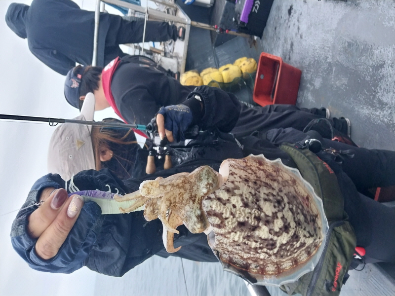 나르샤호 조황갤러리입니다.