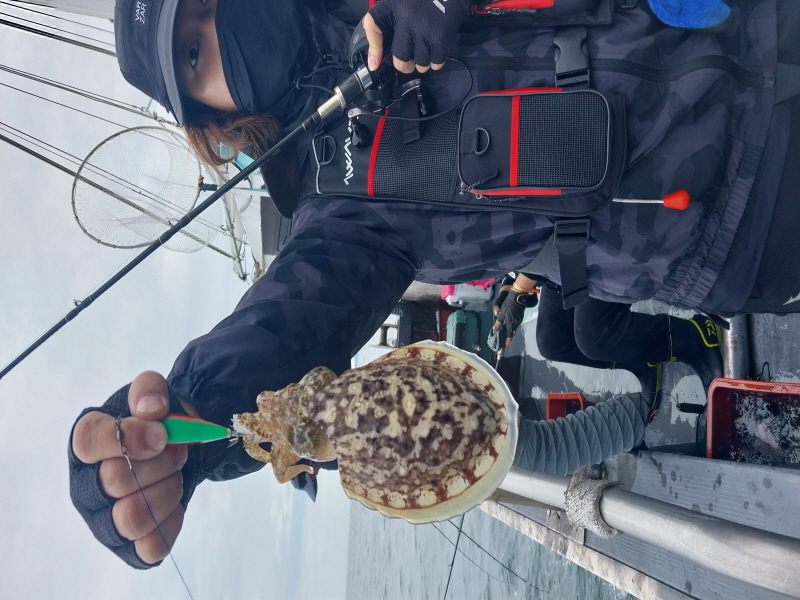 나르샤호 조황갤러리입니다.