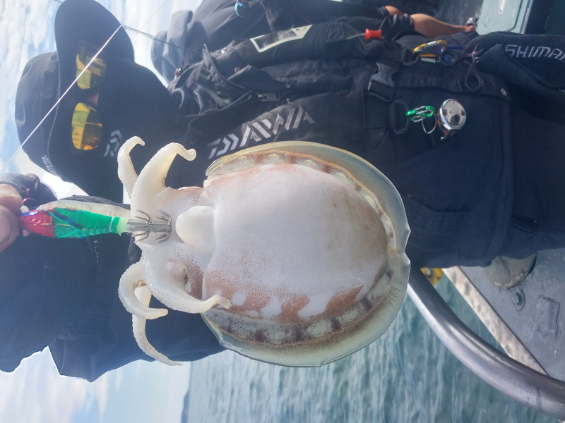 나르샤호 조황갤러리입니다.