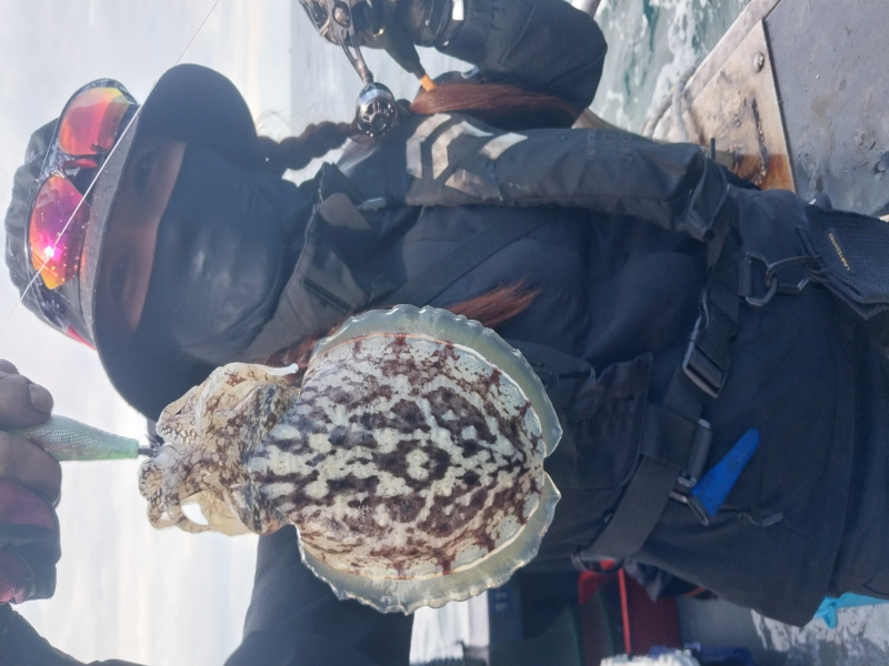 나르샤호 조황갤러리입니다.