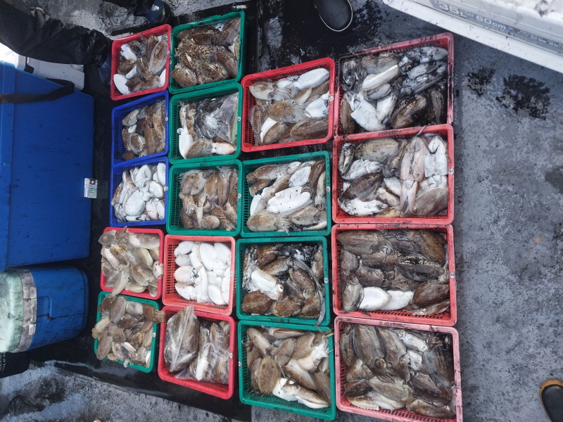 나르샤호 조황갤러리입니다.