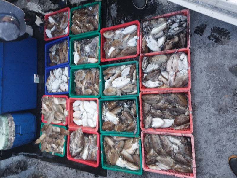 나르샤호 조황갤러리입니다.