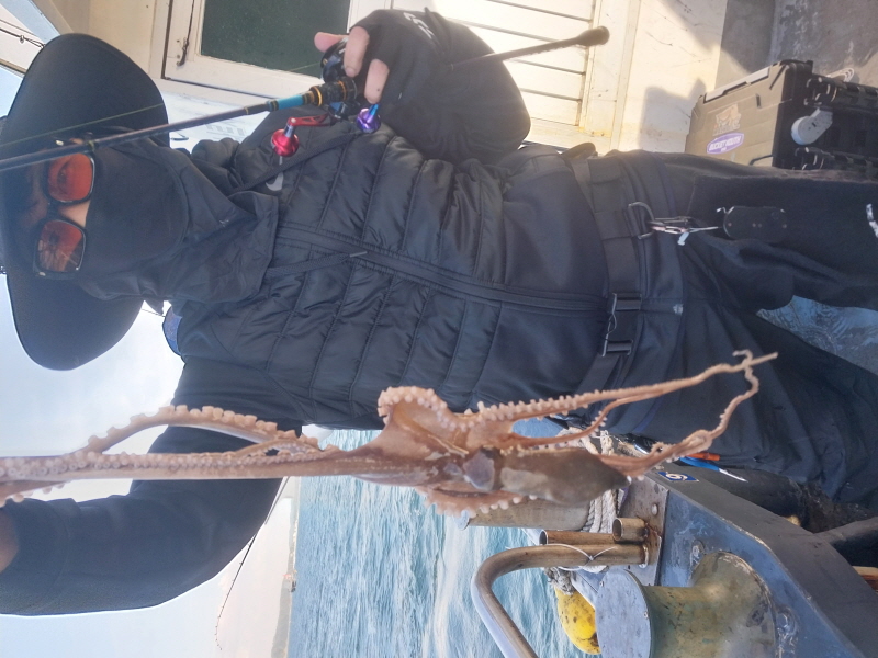 나르샤호 조황갤러리입니다.