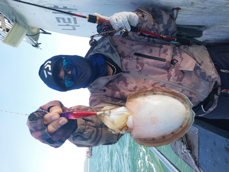 나르샤호 조황갤러리입니다.