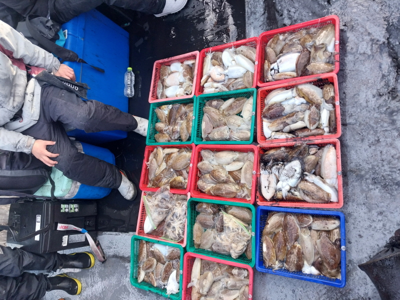 나르샤호 조황갤러리입니다.