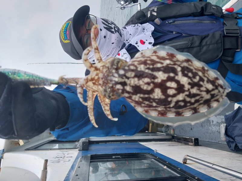 나르샤호 조황갤러리입니다.