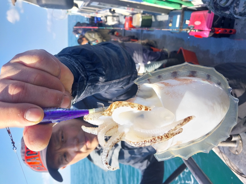 나르샤호 조황갤러리입니다.