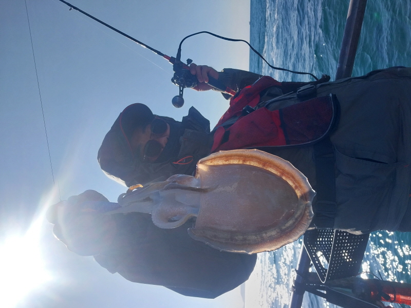 나르샤호 조황갤러리입니다.