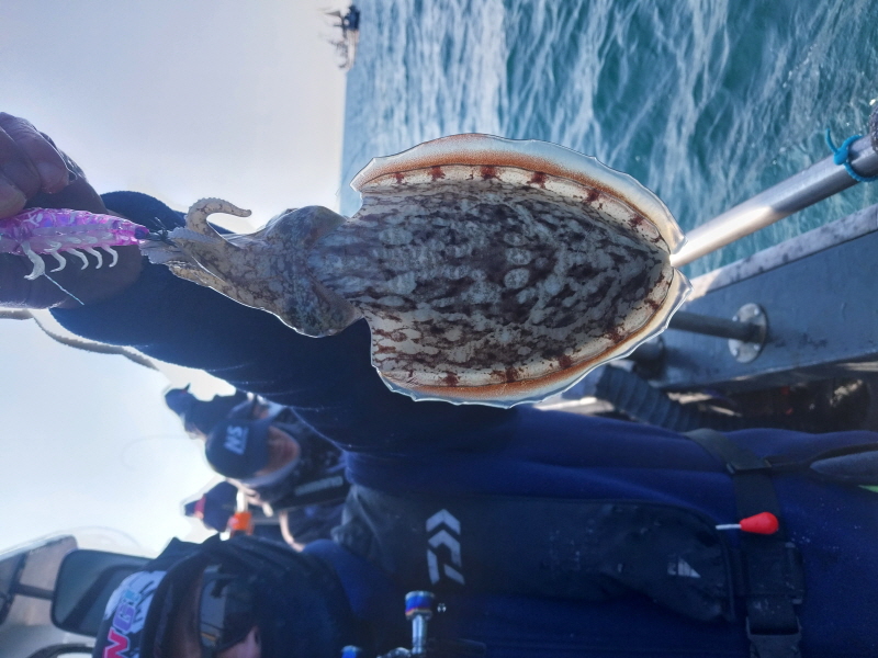 나르샤호 조황갤러리입니다.