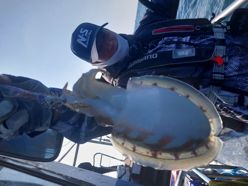 나르샤호 조황갤러리입니다.