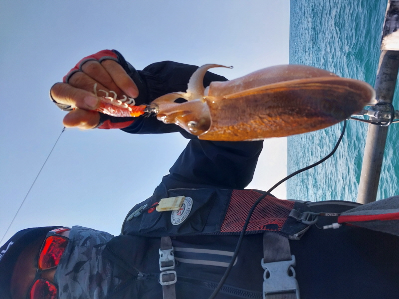 나르샤호 조황갤러리입니다.