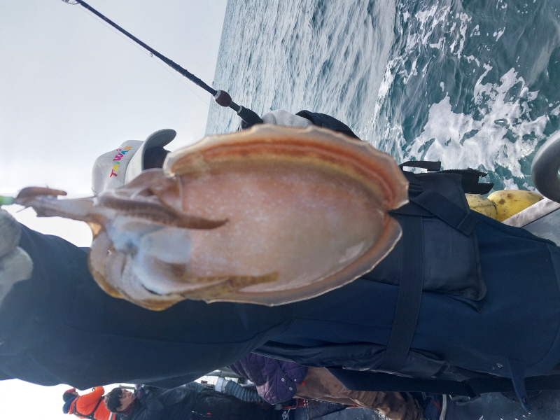 나르샤호 조황갤러리입니다.