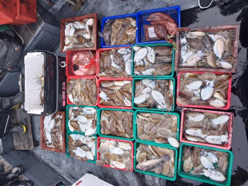 나르샤호 조황갤러리입니다.