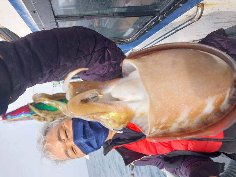 나르샤호 조황갤러리입니다.