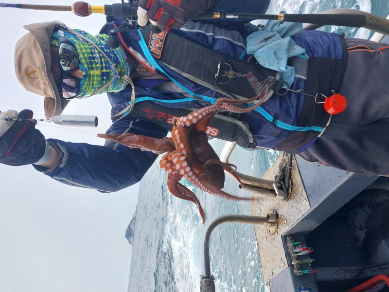 나르샤호 조황갤러리입니다.