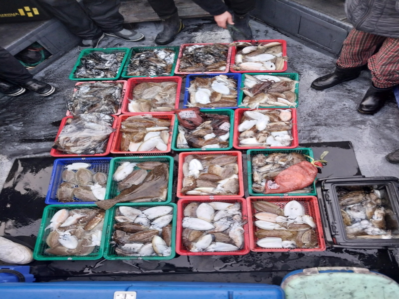 나르샤호 조황갤러리입니다.