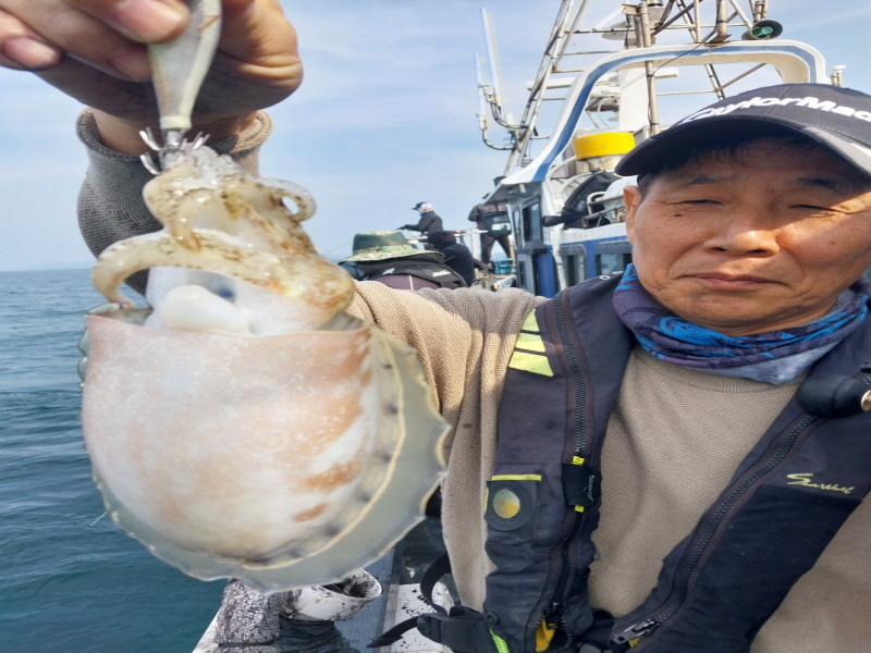 나르샤호 조황갤러리입니다.