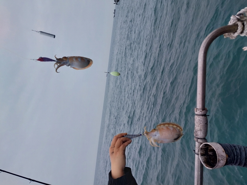 나르샤호 조황갤러리입니다.