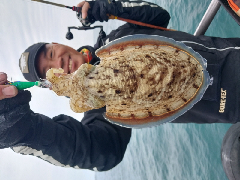 나르샤호 조황갤러리입니다.