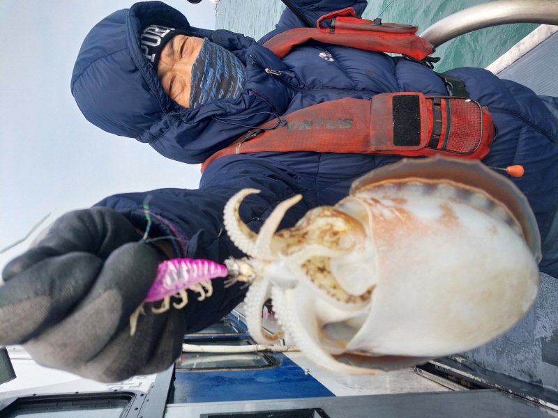 나르샤호 조황갤러리입니다.