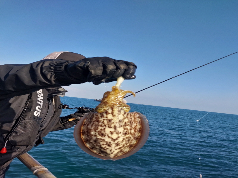 나르샤호 조황갤러리입니다.