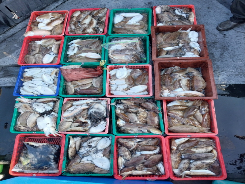 나르샤호 조황갤러리입니다.