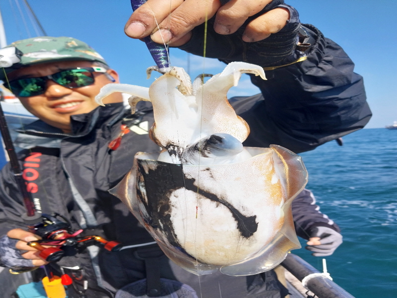 나르샤호 조황갤러리입니다.