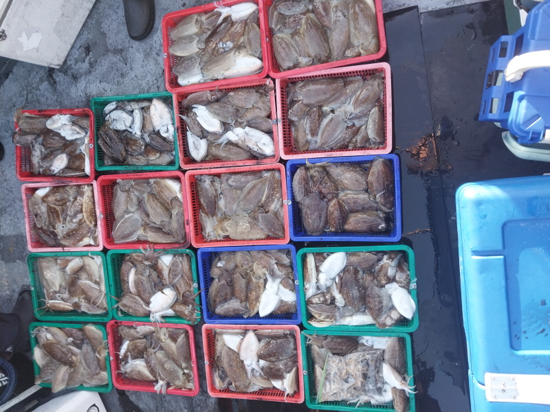 나르샤호 조황갤러리입니다.