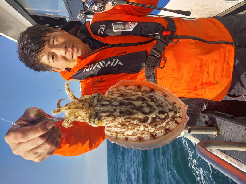 나르샤호 조황갤러리입니다.