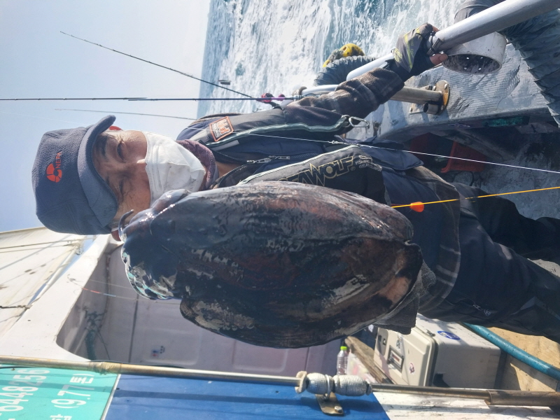 나르샤호 조황갤러리입니다.