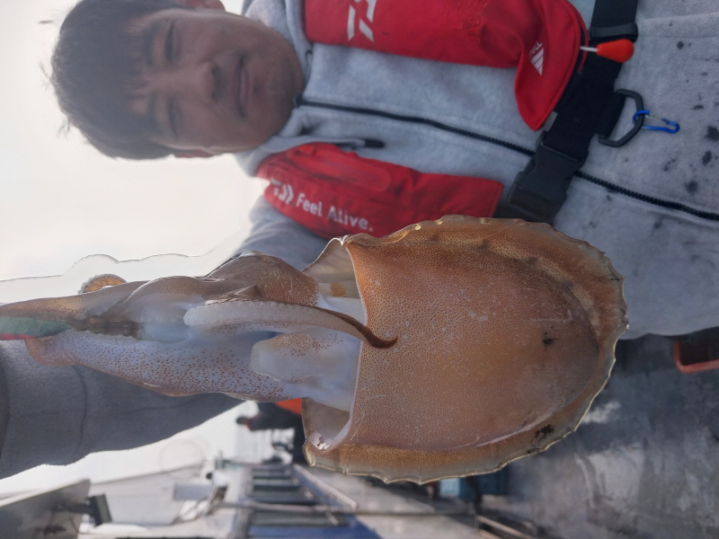 나르샤호 조황갤러리입니다.