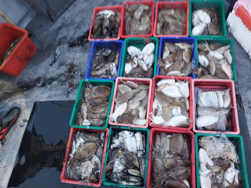 나르샤호 조황갤러리입니다.